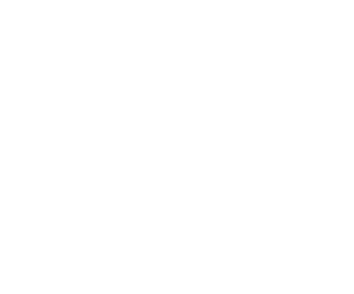 Gerenciamento de Redes Sociais para Visibilidade e Conexão